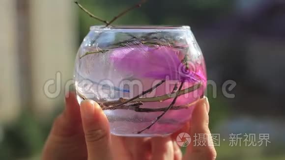 装饰水族馆花瓶与装饰视频