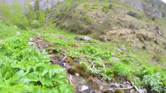 阿尔泰山峡谷小径视频