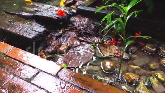 雨天花园有缓流水溅视频