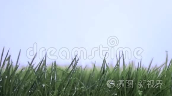 草地和蓝天上的梦幻屋视频