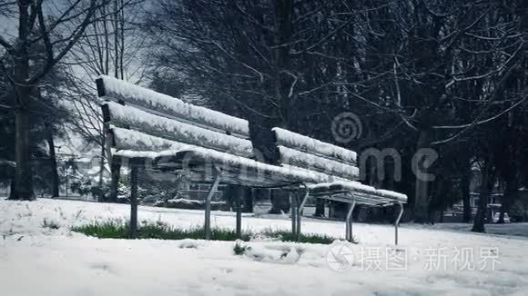 在降雪中移动过去的公园长椅视频