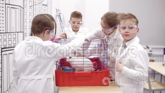 孩子们在生物课上摸兔子视频