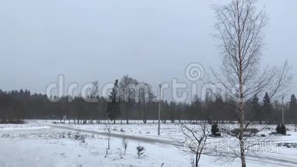 窗外第一场雪视频