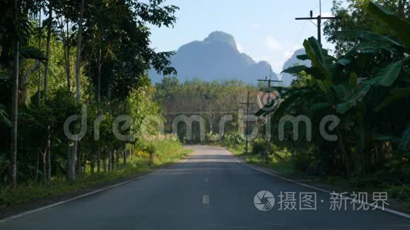 热带灌木丛中的沥青街视频