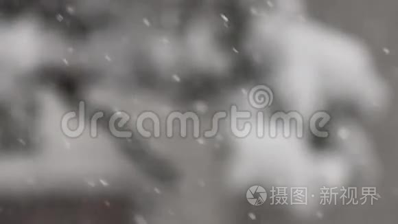 雪花背景视频