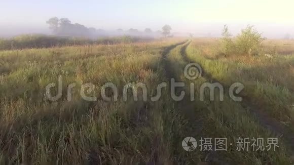 下午阳光下飞越田野之间的道路