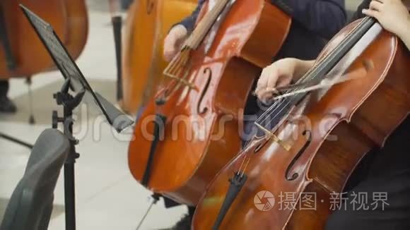 演奏大提琴的音乐家们的手视频