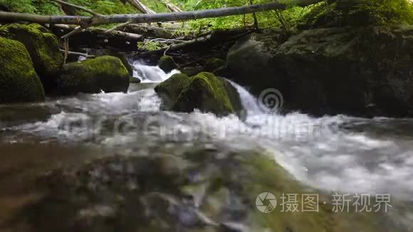 森林山涧流过岩石视频