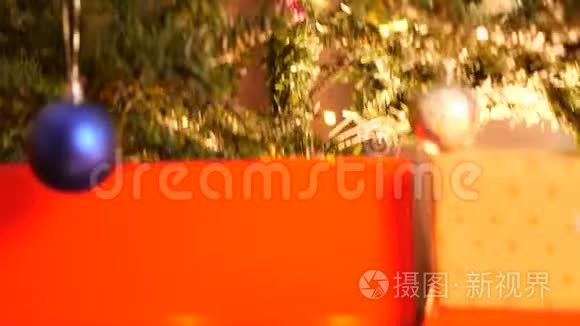 鹤从圣诞树的底部射到顶端视频
