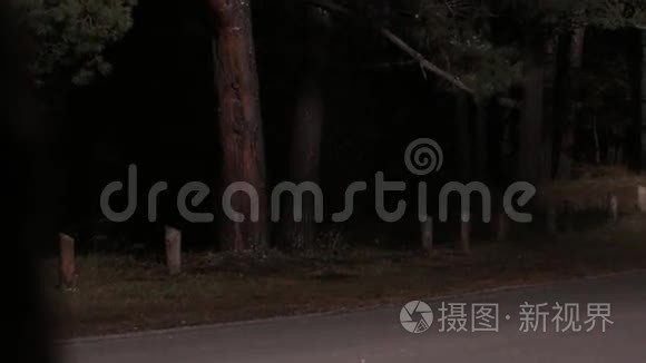 在夜间道路上危险驾驶视频