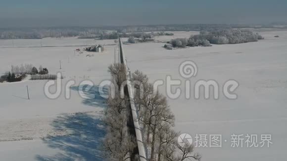 美丽的冬季乡村道路，有老树小巷和霜冻，鸟瞰