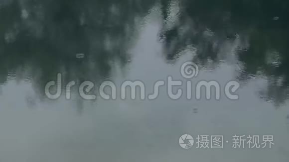 轻松观赏落在湖中的小雨视频