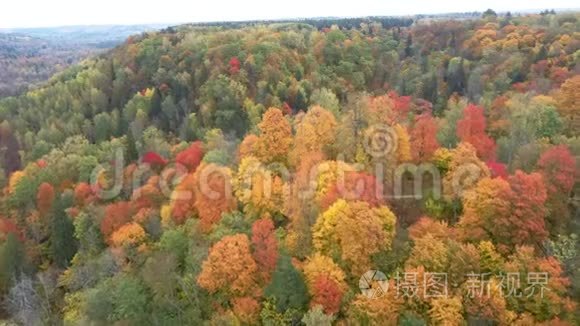 鸟瞰秋天的风景观，秋色鲜艳的多色树木，绿、橙、红。