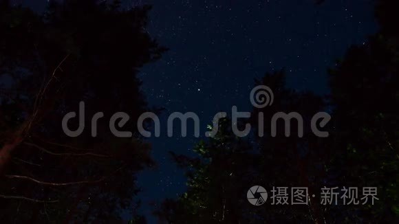 夏夜繁星满天的松树视频