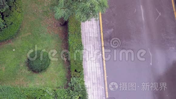 绿色公园区顶景大雨视频