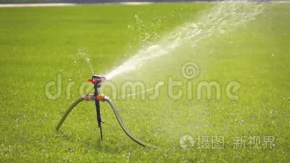 慢动作花园灌溉洒水草坪视频