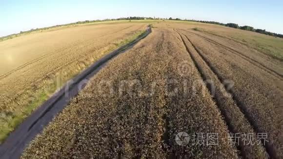 农场夏季结束景观与糟糕的道路，鸟瞰