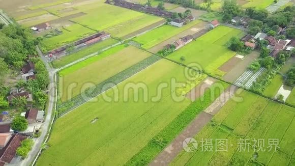 稻田和村庄的空中风光视频