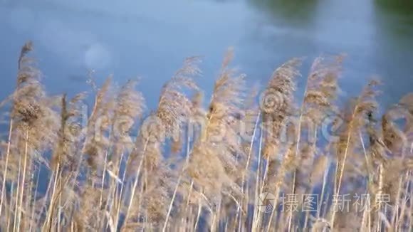 蓝水背景下的峡谷视频