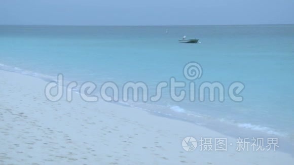 清晨海滩上的海浪视频