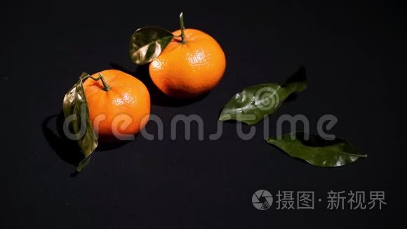 两个带有黑色背景叶子的柑橘视频