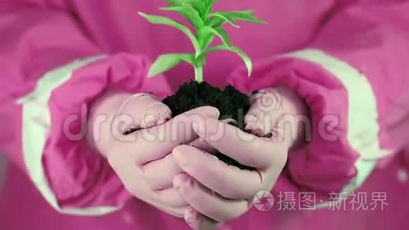 穿着粉红色防护服的女人手里拿着泥土和绿色的年轻植物