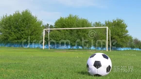 草地上的足球，背景是一个足球门