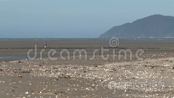 新西兰金湾海豹突击队视频