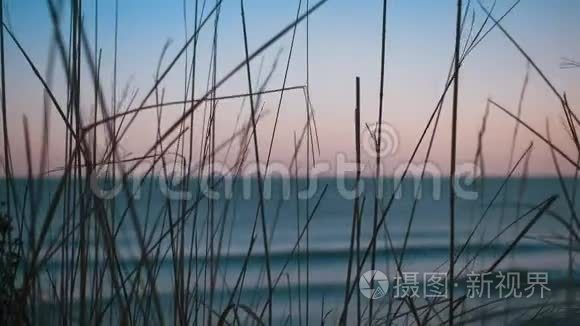 波罗的海海岸线通过草地观景视频