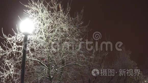 冬夜暴雪中的灯和树