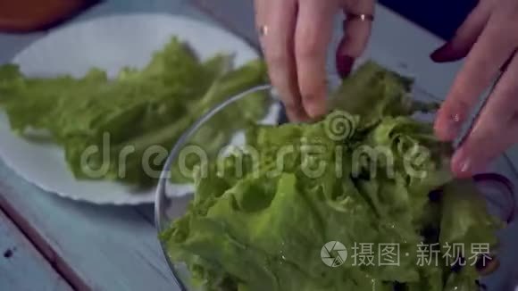 健康食品。 叶；美食；奶酪；美食；烹饪；