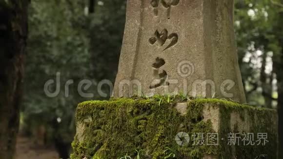 传统风格的日本灯笼视频