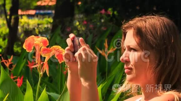 公园里的热带花卉特写镜头视频