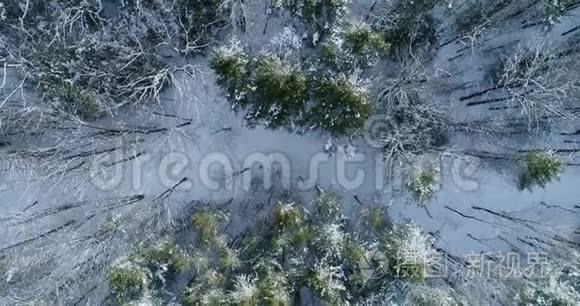 在新英格兰日出时飞越神奇的雪覆盖景观