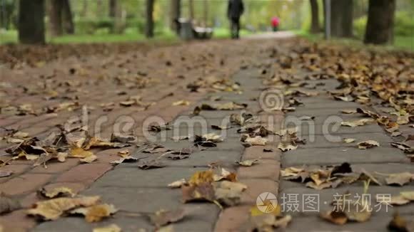 秋天公园的大树上的叶子，人走着。 水平滑杆