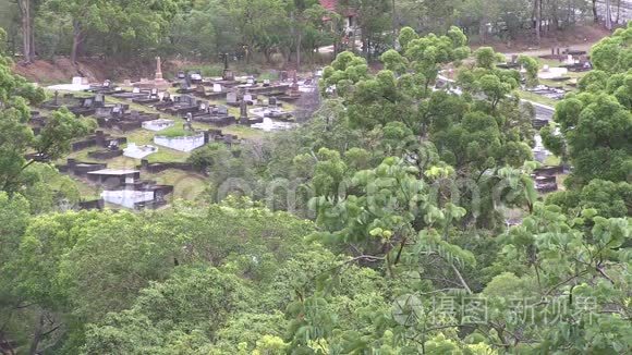 坟场树木及道路及过往车辆视频