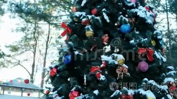 活的圣诞树，上面装饰着圣诞球玩具和花环，矗立在露天