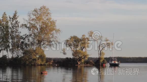 孤舟站在秋林附近平静的河中视频