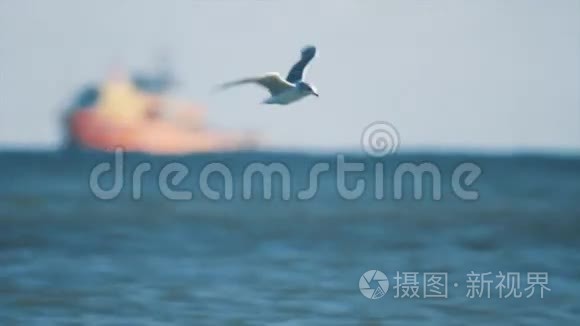 海鸥鸟在船只和油台前飞过海面视频