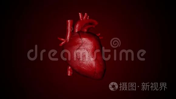 人类心脏跳动3D动画