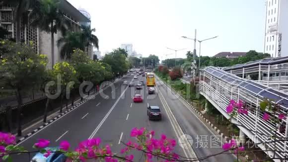 高速公路的交通流量和前景花卉视频