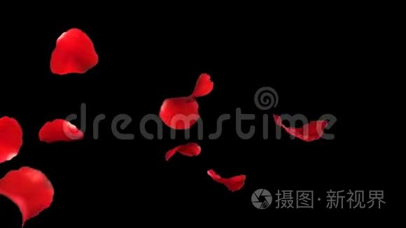 飘落的花瓣玫瑰3D动画
