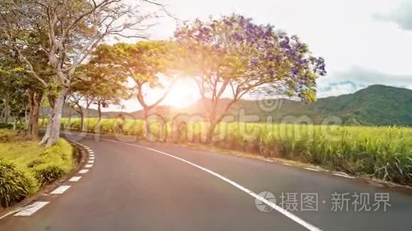 沿着有花树的路骑马