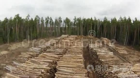 原始木材储存视频