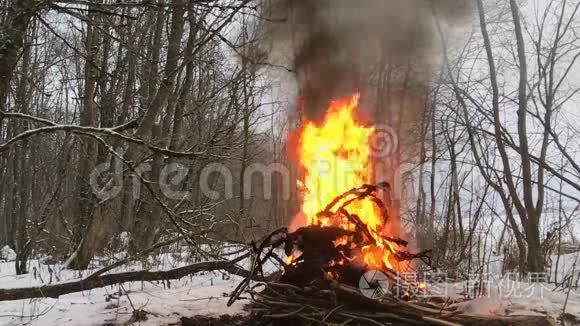 冬季森林火灾爆炸视频