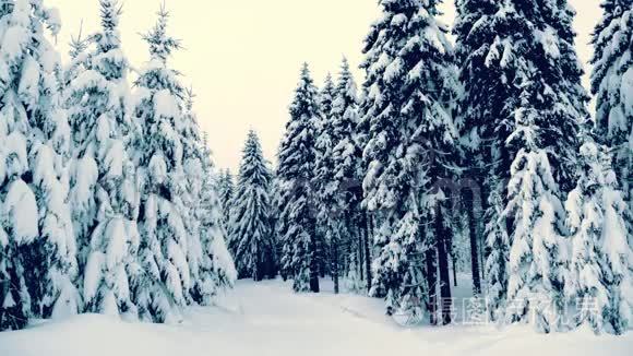 冬天的雪林里有雪覆盖的树，下着雪和星星。 复古圣诞节，新年慢动作动画，高清1080。