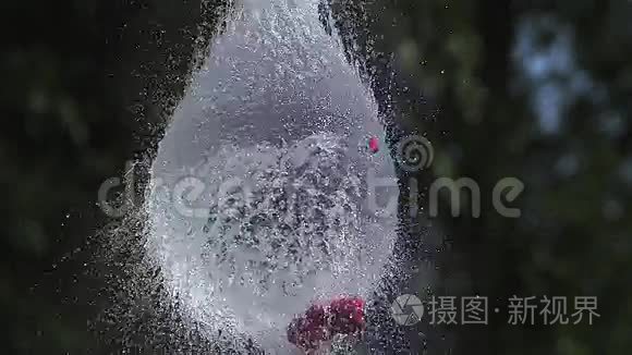 铅球破水填充红色气球视频