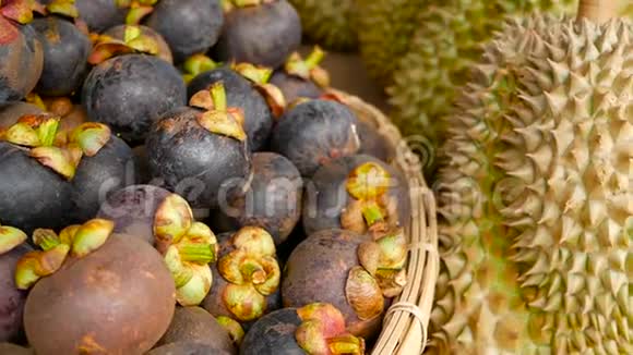 混合季节热带甜多汁水果，当地泰国市场。 大月龙榴莲和芒果视频的预览图