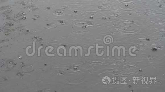 雨滴在水坑里随着气泡落下视频