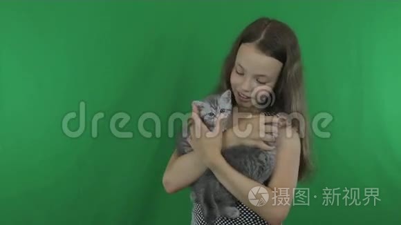 美丽的女孩与小猫沟通苏格兰折叠绿色屏幕股票视频视频